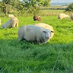 Ausguck