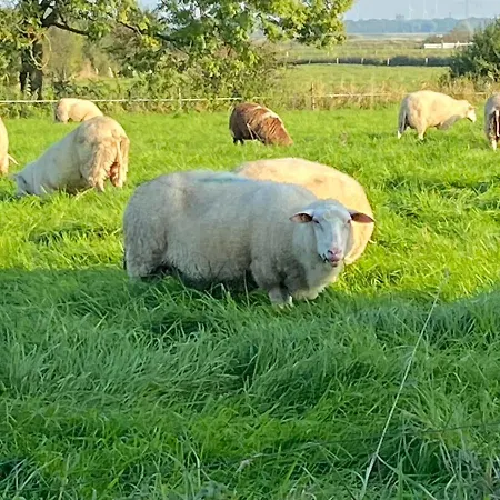 Ausguck
