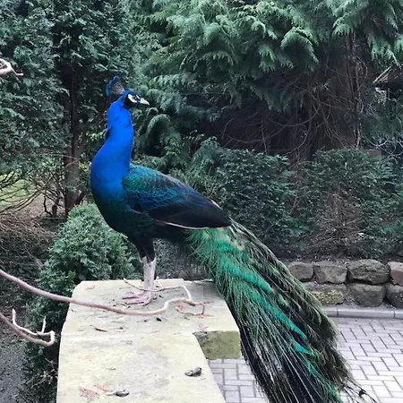 Apartment Ausguck Jever